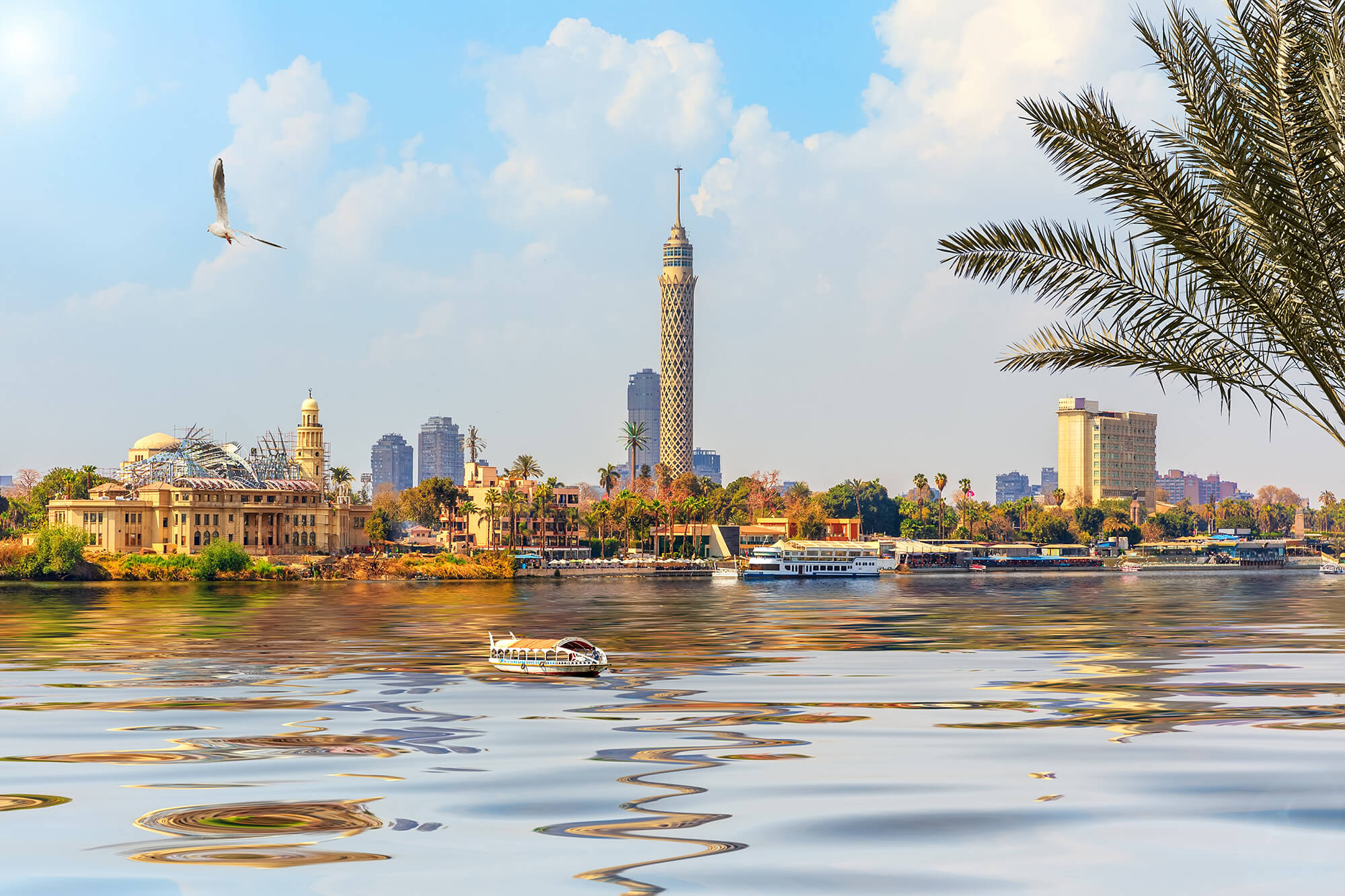 القاهرة